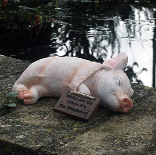 Paxton Gartenfigur "Wake Me Up When It Is The Weekend", Kunstharz, 22 cm lang Paxton Gartenfigur "Wake Me Up When It Is The Weekend", Kunstharz, 22 cm lang von KedBrok