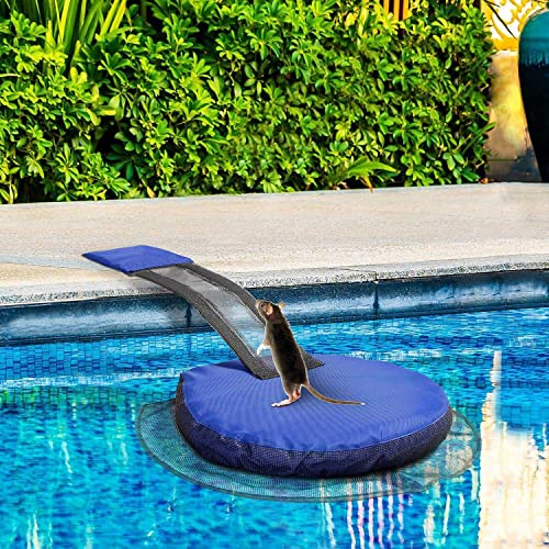 Kedelack blau Haustier Pool Rampe, tragbar kleines langlebiges Pool Flucht Netz, für Schwimmbad sparen Entenküken Saving Birds von Kedelack