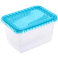 Zanvic - 2er Set Lunchboxen, 2 x 2 l, 20,5 x 15,5 x 10,5 cm, Fredo Fresh, Blau transparent von ZANVIC