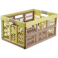 keeeper Klappbox "ben, Profi-Klappbox mit Soft-Touch-Griffen, 54 x 37 x 28 cm" Soft-Touch-Griffe, zusammenklappbar keeeper Klappbox "ben, Profi-Klappbox mit Soft-Touch-Griffen, 54 x 37 x 28 cm" Soft-Touch-Griffe, zusammenklappbar von Keeeper