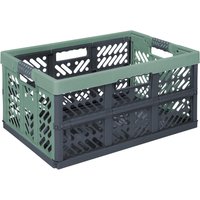 keeeper Klappbox grün B/H/L: ca. 37x28x45 cm keeeper Klappbox grün B/H/L: ca. 37x28x45 cm von Keeeper