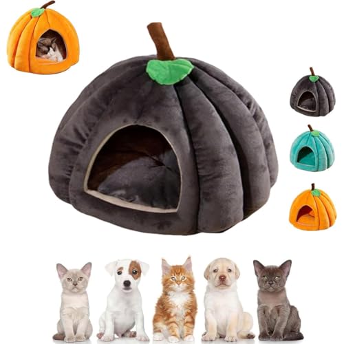 Pumpkin Cat Bed, 2025 Cute Pumpkin Shape Cat Cave, Puppy House, Katzenbetten für Hauskatzen, Faltbare Katzenbetthöhle, Katzenhaus mit waschbaren Kissen, Niedliche Katzenhöhle in Kürbisform (Gray, L) Pumpkin Cat Bed, 2025 Cute Pumpkin Shape Cat Cave, Puppy House, Katzenbetten für Hauskatzen, Faltbare Katzenbetthöhle, Katzenhaus mit waschbaren Kissen, Niedliche Katzenhöhle in Kürbisform (Gray, L) von Keeplus