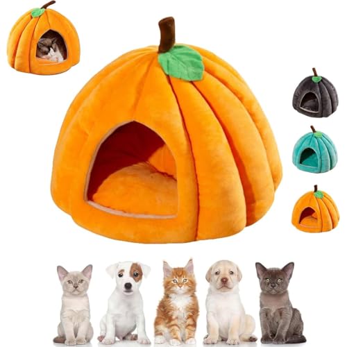 Pumpkin Cat Bed, 2025 Cute Pumpkin Shape Cat Cave, Puppy House, Katzenbetten für Hauskatzen, faltbare Katzenbetthöhle, Katzenhaus mit waschbaren Kissen, Niedliche Katzenhöhle in Kürbisform (Orange, L) Pumpkin Cat Bed, 2025 Cute Pumpkin Shape Cat Cave, Puppy House, Katzenbetten für Hauskatzen, faltbare Katzenbetthöhle, Katzenhaus mit waschbaren Kissen, Niedliche Katzenhöhle in Kürbisform (Orange, L) von Keeplus