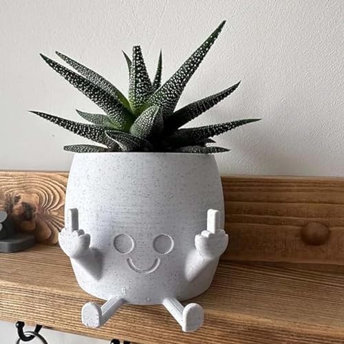 Smiling Plant Pot with Middle Fingers Up, Niedlicher Mittelfinger Happy Planter, Mittelfinger-Blumentopf, Kunstharz, lustiger Ausdruck, Garten-Pflanzgefäß, Sukkulentententopf-Pflanzgefäß (Weiß) von Keeplus