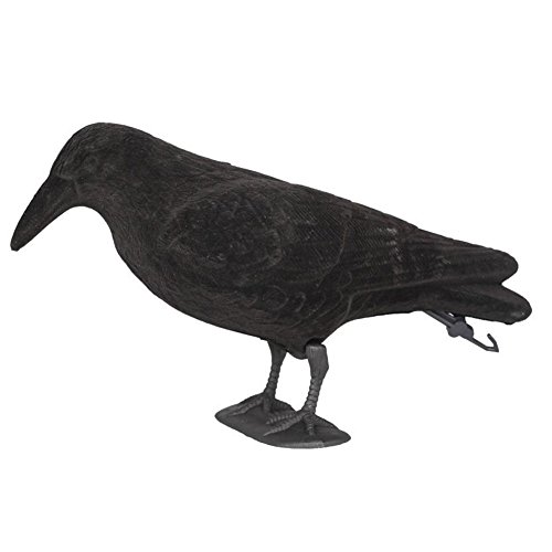 Beflockung Krähen,Schwarz Lockkrähe mit Flügeln,Kunststoff Krähe Lockvögel Rabe Krähenjagd Gartenfigur Rabe Vogelscheuche, Taubenschreck Erdspieß und Fußständer-Beflockt Lockvogel Gartendekoration von Keho Keho Kehongdun