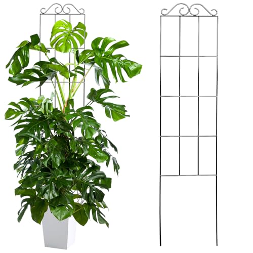 Garden Obelisk Rankhilfe,50*15cm Pflanzenstützen mit Bänder,Rosen Rankgitter Metall Rostfrei, Staudenhalter Blumenhalter Rankengewächs Pflanzenstütze Blumenstütze Staudenstütze für Topfpflanzen (01) von Keho Keho Kehongdun