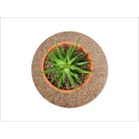 Keilbach Blumentopf Unterlage, ¿ 25,0 cm, sandfarben von Keilbach Designprodukte