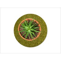 Keilbach Blumentopf Unterlage, ¿ 34,0 cm, grün von Keilbach Designprodukte