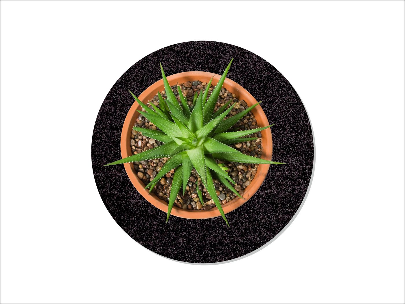 Keilbach Designprodukte Blumentopfuntersetzer flora-l Ø 40 cm, nur 9 mm dick, waschbar bei 30° C, schützt empfindliche Untergründe Keilbach Designprodukte Blumentopfuntersetzer flora-l Ø 40 cm, nur 9 mm dick, waschbar bei 30° C, schützt empfindliche Untergründe von Keilbach Designprodukte