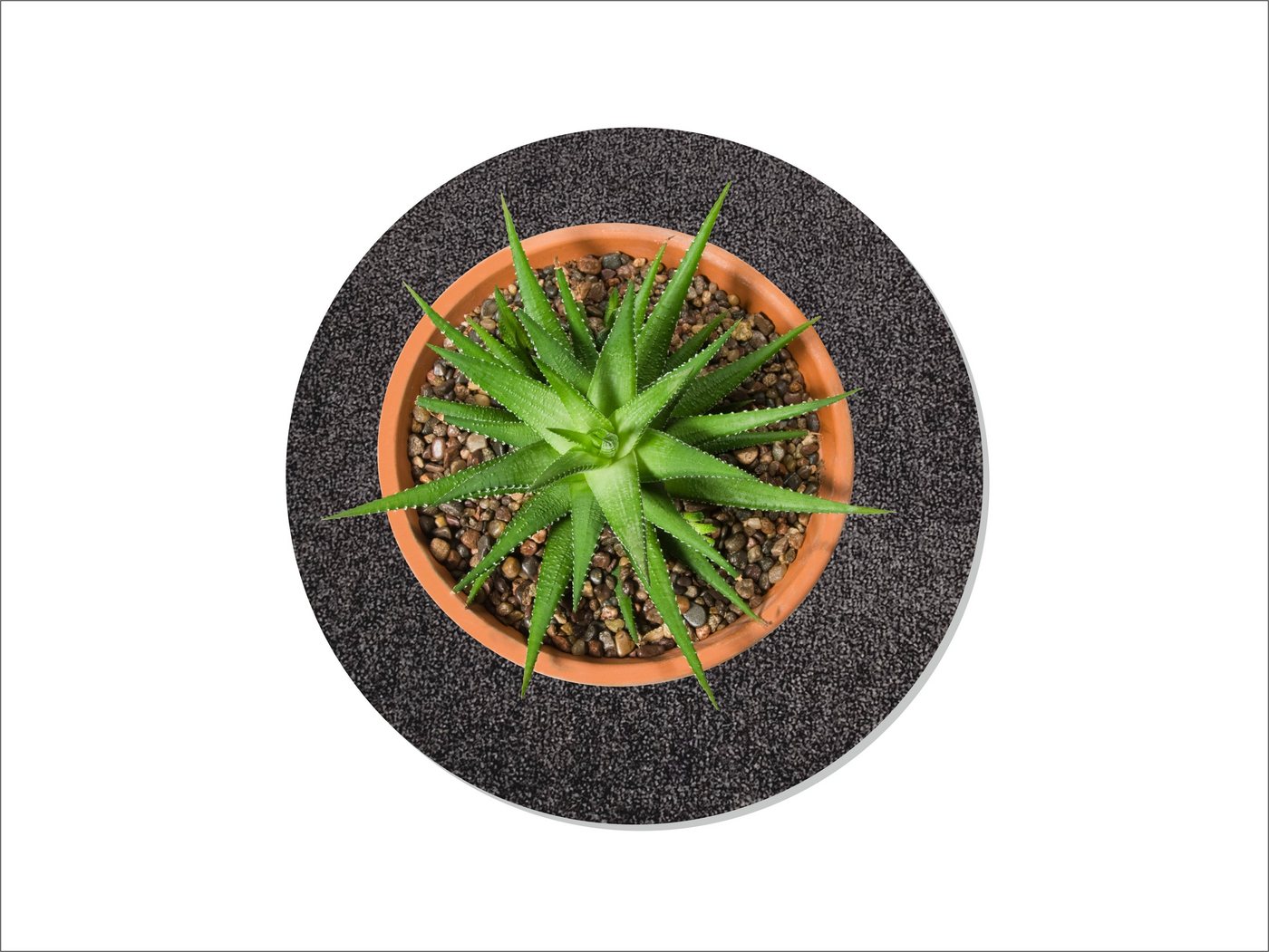 Keilbach Designprodukte Blumentopfuntersetzer Blumentopfuntersetzer flora-m Ø 34 cm, nur 9 mm dick, waschbar bei 30° C, schützt empfindliche Untergründe Keilbach Designprodukte Blumentopfuntersetzer Blumentopfuntersetzer flora-m Ø 34 cm, nur 9 mm dick, waschbar bei 30° C, schützt empfindliche Untergründe von Keilbach Designprodukte