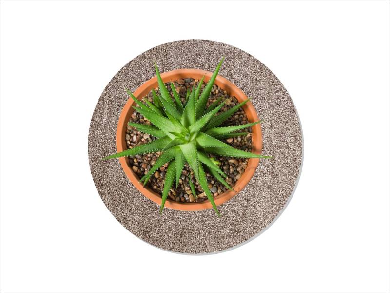Keilbach Designprodukte Blumentopfuntersetzer Blumentopfuntersetzer flora-m Ø 34 cm, nur 9 mm dick, waschbar bei 30° C, schützt empfindliche Untergründe von Keilbach Designprodukte