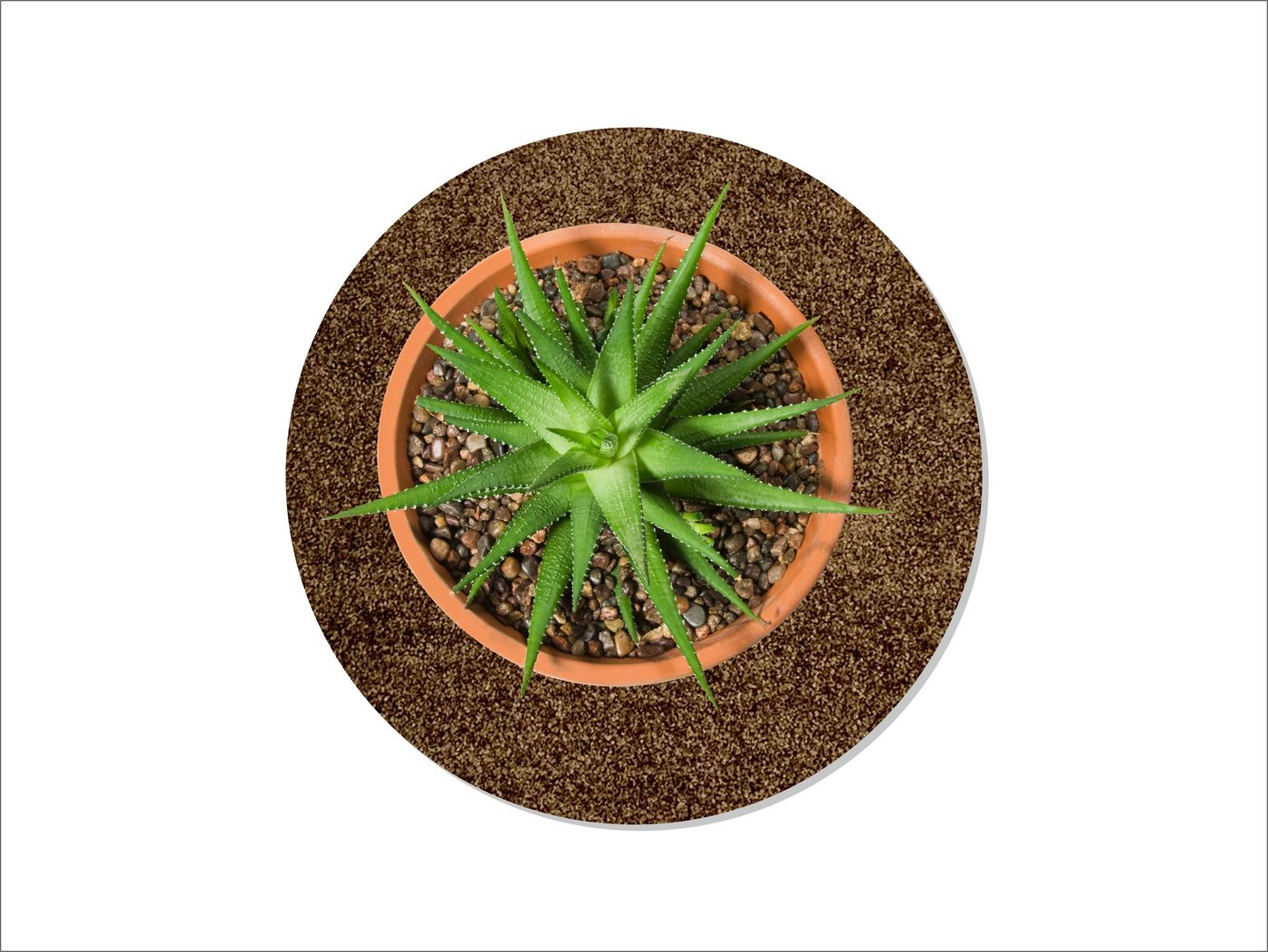 Keilbach Designprodukte Blumentopfuntersetzer Blumentopfunterlage flora-s Ø 25 cm, nur 9 mm dick, waschbar bei 30° C, schützt empfindliche Untergründe Keilbach Designprodukte Blumentopfuntersetzer Blumentopfunterlage flora-s Ø 25 cm, nur 9 mm dick, waschbar bei 30° C, schützt empfindliche Untergründe von Keilbach Designprodukte