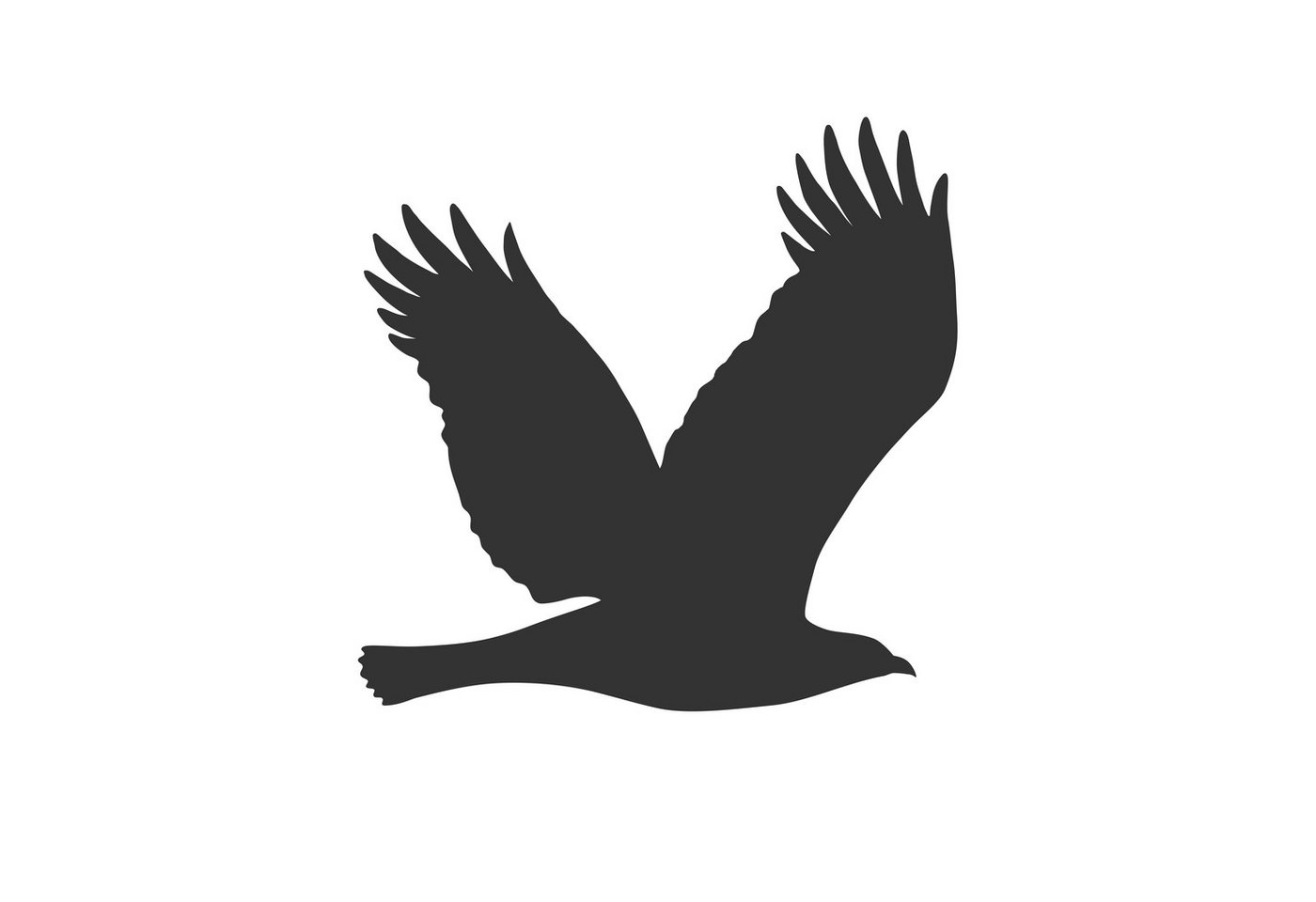 Keilbach Designprodukte Fensterbild Vogelschutzfolie bird von Keilbach Designprodukte