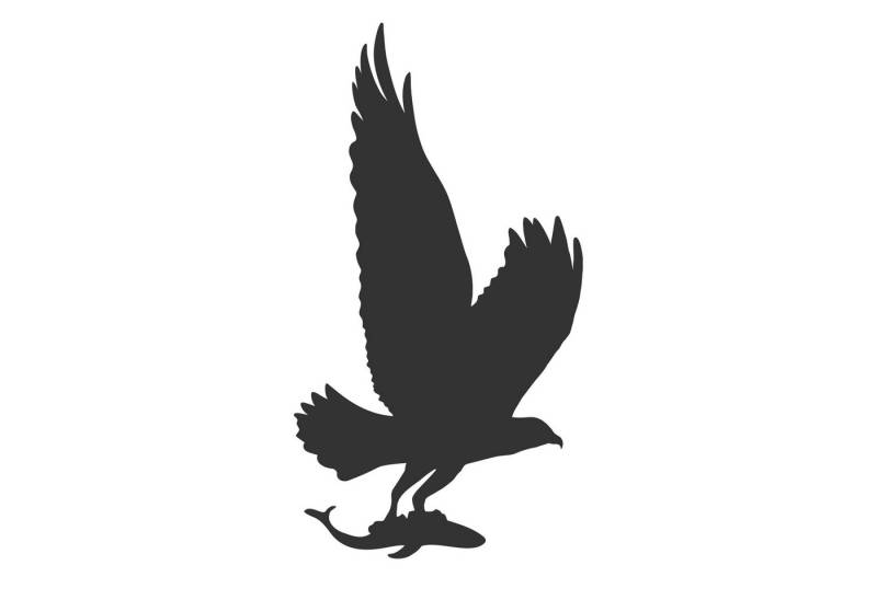 Keilbach Designprodukte Fensterbild Vogelschutzfolie bird von Keilbach Designprodukte