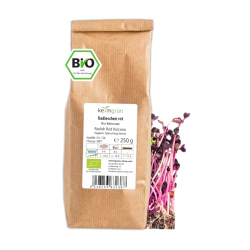 Keimgrün - 2x250g Bio Radieschen Rot Sprossen Samen - Microgreen Radieschen Saatgut - Radieschensamen - Regelmäßig überprüfte Keimfähigkeit - Zum ergiebigen Anbau auf Erde oder im Sprossenglas von Keimgrün