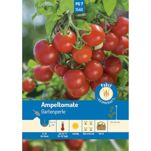 Pabst Keimkraft - Ampeltomate kleinfrüchtig & aromatisch Gartenperle Samen - 171540 von Keimkraft