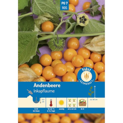 Pabst Keimkraft - Andenbeere Inkapflaume Samen - 171105 von Keimkraft