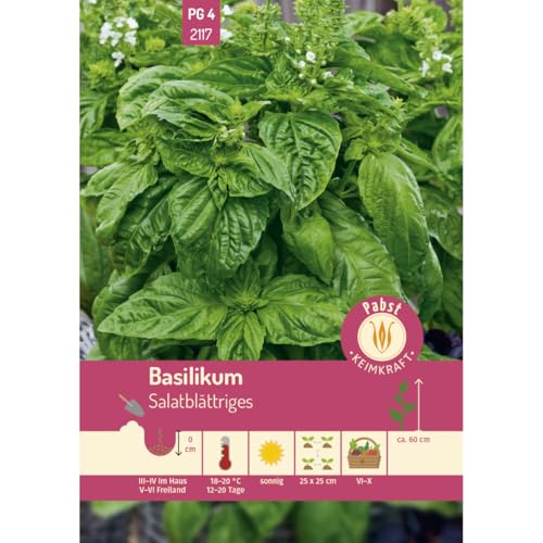 Pabst Keimkraft - Basilikum salatblättrig & aromatisch Samen - 172117 von Keimkraft
