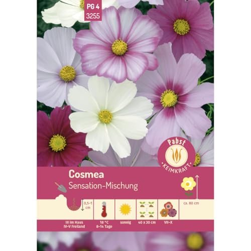 Pabst Keimkraft - Cosmea Sensation-Mischung Samen - 173255 von Keimkraft