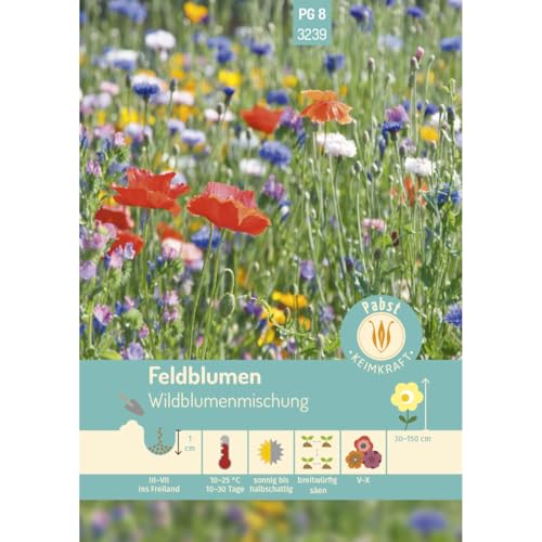 Pabst Keimkraft - Feldblumen Wildblumenmischung Samen - 173239 von Keimkraft