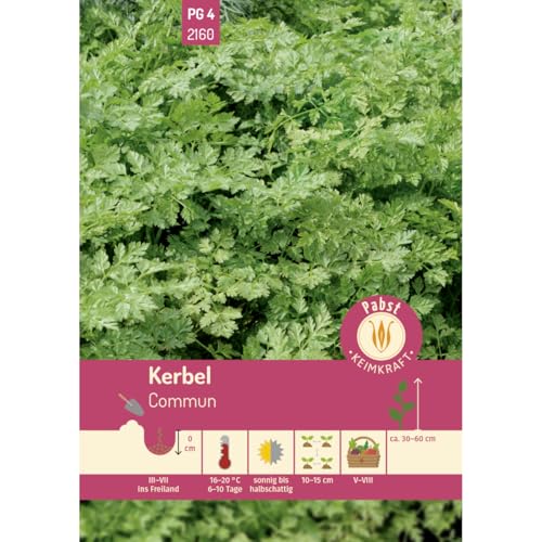 Pabst Keimkraft - Kerbel krausblättrig & aromatisch Commun Samen - 172160 von Keimkraft