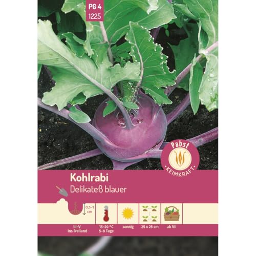 Pabst Keimkraft - Kohlrabi mittelfrüh & zart Delikateß blauer Samen - 171225 von Keimkraft