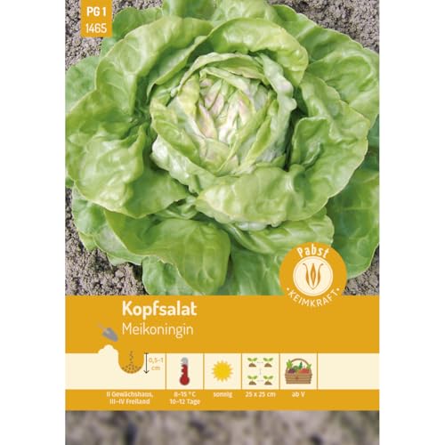 Pabst Keimkraft - Kopfsalat früh & treibfähig Meikoningin Samen - 171465 von Keimkraft