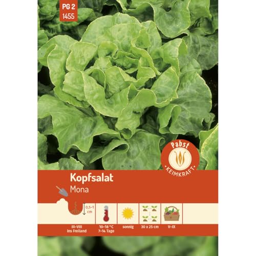 Pabst Keimkraft - Kopfsalat robust & hitzebeständig Mona Samen - 171455 von Keimkraft