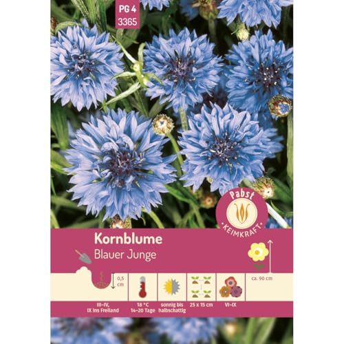 Pabst Keimkraft - Kornblume Blauer Junge Samen - 173365 von Keimkraft