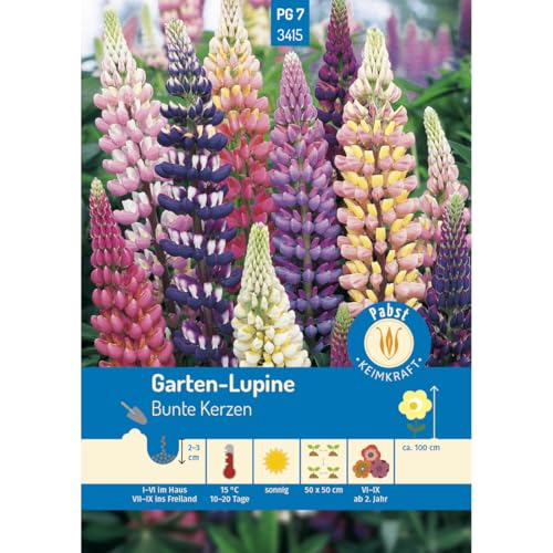 Pabst Keimkraft - Lupine Bunte Kerzen Samen - 173415 von Keimkraft