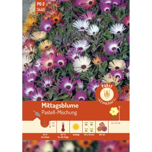 Pabst Keimkraft - Mittagsblume Pastell-Mischung Samen - 173440 von Keimkraft