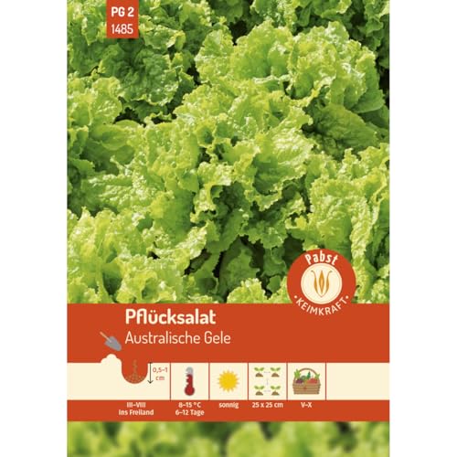 Pabst Keimkraft - Pflücksalat spätschossend & ertragreich Australische Gele Samen - 171485 von Keimkraft