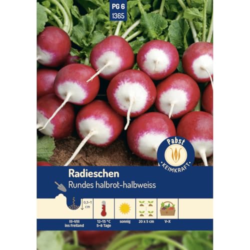 Pabst Keimkraft - Radieschen fest & zweifarbig Rundes halbrot-halbweiss Samen - 171365 von Keimkraft
