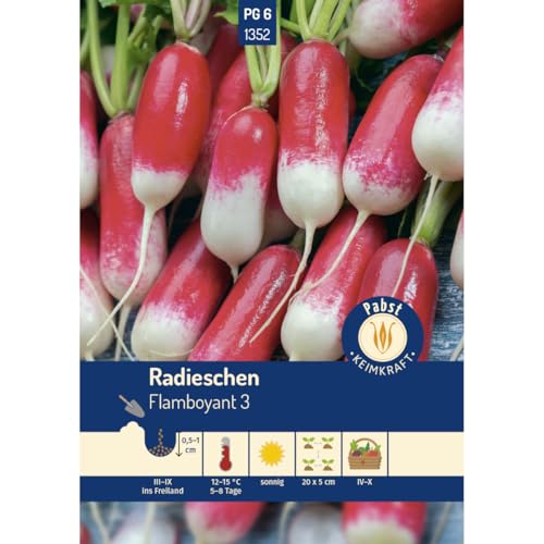 Pabst Keimkraft - Radieschen lang & zweifarbig Flamboyant 3 Samen - 171352 Pabst Keimkraft - Radieschen lang & zweifarbig Flamboyant 3 Samen - 171352 von Keimkraft