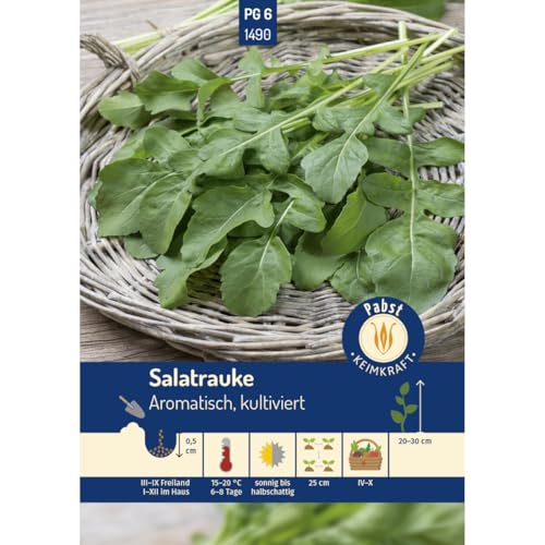 Pabst Keimkraft - Salatrauke Aromatisch kultiviert Samen - 171490 Pabst Keimkraft - Salatrauke Aromatisch kultiviert Samen - 171490 von Keimkraft