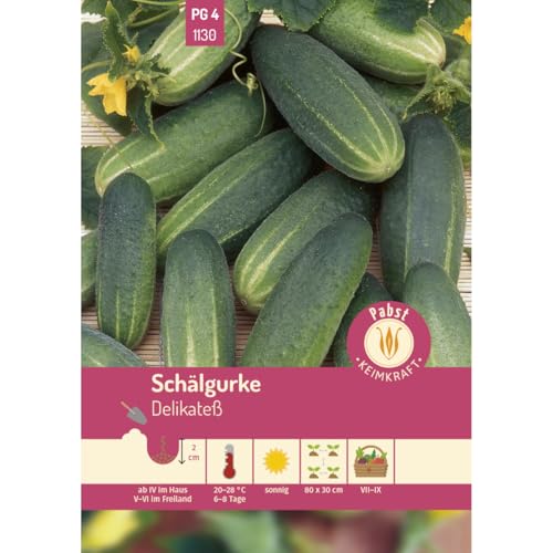 Pabst Keimkraft - Schälgurke früh & mittellang Delikateß Samen - 171130 von Keimkraft