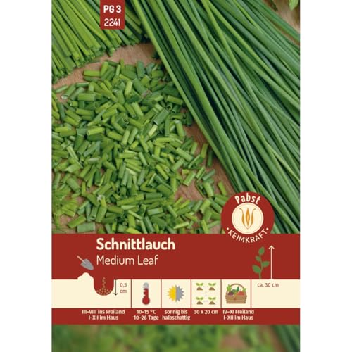 Pabst Keimkraft - Schnittlauch mehrjährig & mittelröhrig Medium Leaf Samen - 172241 von Keimkraft