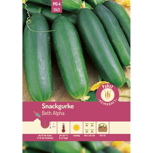 Pabst Keimkraft - Snackgurke kurz & glattschalig Beth Alpha Samen - 171143 von Keimkraft