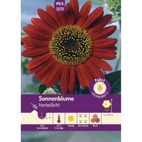 Pabst Keimkraft - Sonnenblume Herbstlicht Samen - 173570 von Keimkraft