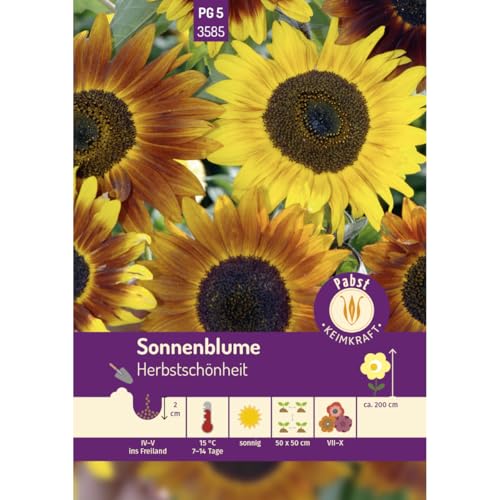 Pabst Keimkraft - Sonnenblume Herbstschönheit Samen - 173585 von Keimkraft