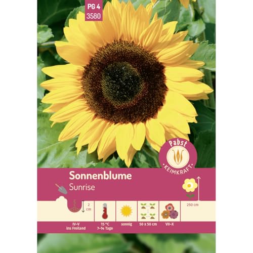 Pabst Keimkraft - Sonnenblume Sunrise Samen - 173580 von Keimkraft