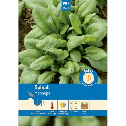 Pabst Keimkraft - Spinat schossfest & winterhart Monnopa Samen - 171527 von Keimkraft