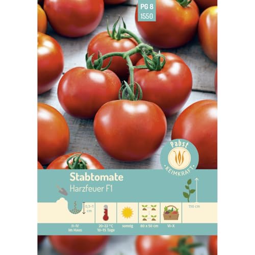 Pabst Keimkraft - Stabtomate sehr früh & widerstandsfähig Harzfeuer F1 Samen - 171550 von Keimkraft