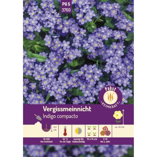 Pabst Keimkraft - Vergißmeinnicht Indigo compacto Samen - 173760 von Keimkraft