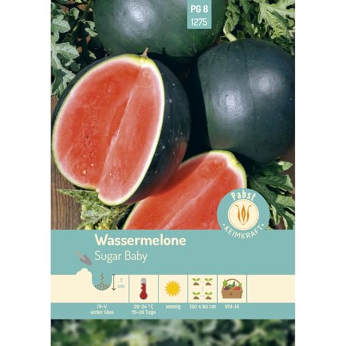 Pabst Keimkraft - Wassermelone früh & kleinfrüchtig Sugar Baby Samen - 171275 von Keimkraft