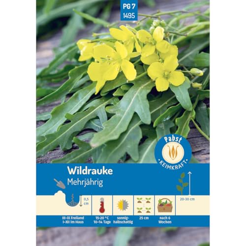 Pabst Keimkraft - Wildrauke Rucola Samen - 171495 von Keimkraft
