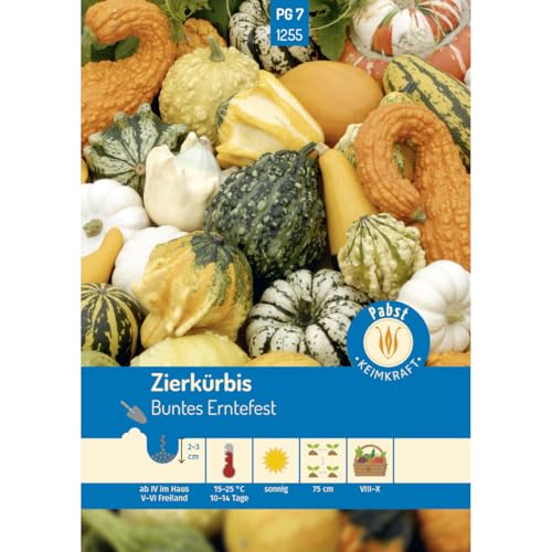 Pabst Keimkraft - Zierkürbis Buntes Erntefest Samen - 171255 von Keimkraft