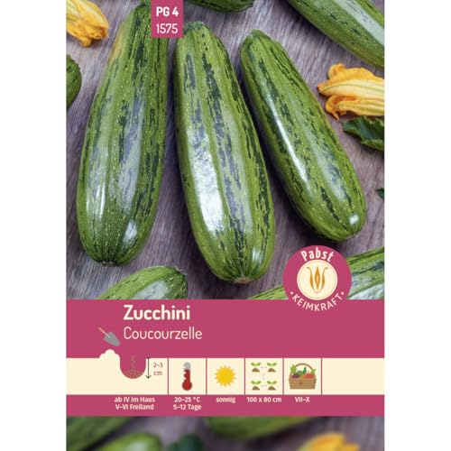 Pabst Keimkraft - Zucchini wüchsig & rankenlos Coucourzelle Samen - 171575 von Keimkraft