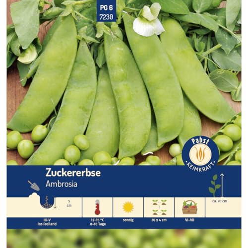 Pabst Keimkraft - Zuckererbse mittelfrüh & fleischig Ambrosia Samen - 177230 von Keimkraft