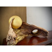 Canapé - Treibholzskulptur Canapé - Treibholzskulptur von KeineKunstLaden